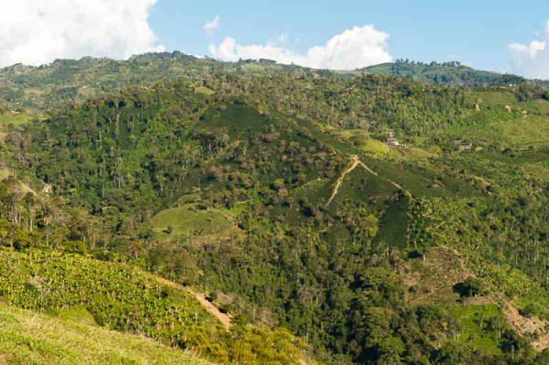 Fredonia, Suroeste AntioqueÃ±o, Antioquia, Colom...