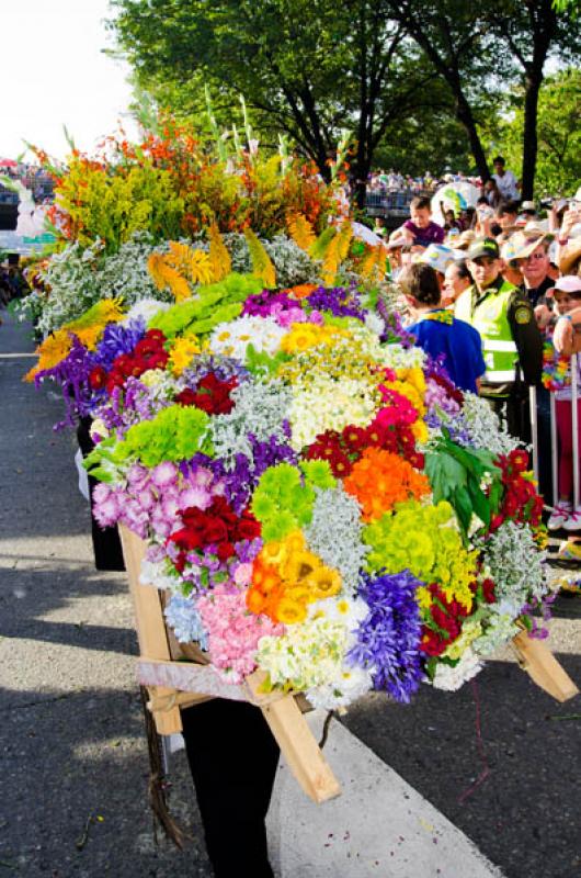 Desfile de Silleteros, Feria de las Flores, Medell...