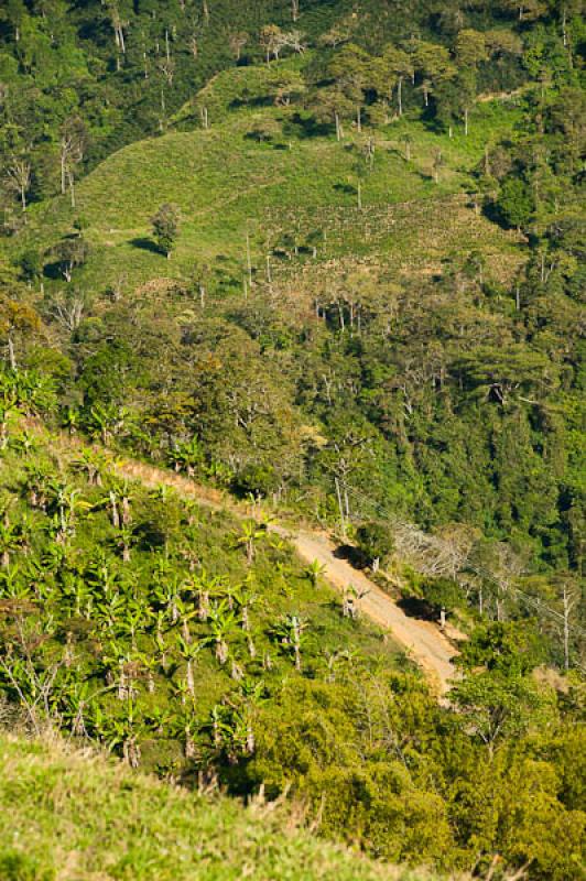 Fredonia, Suroeste AntioqueÃ±o, Antioquia, Colom...