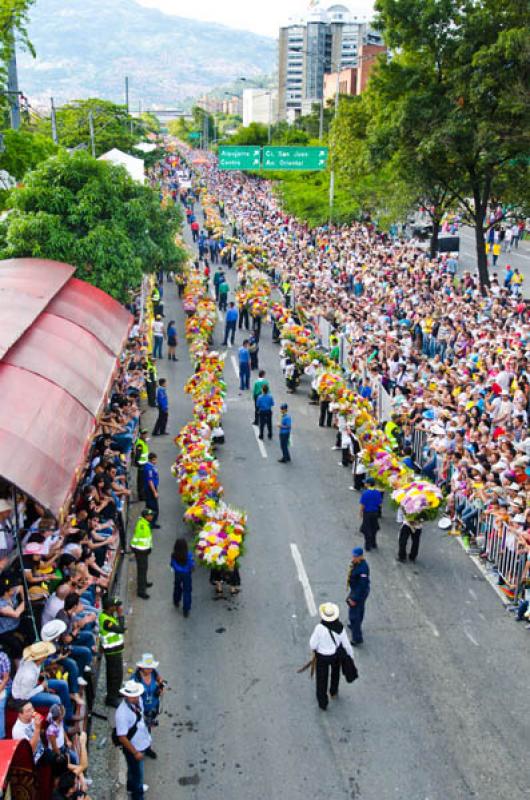 Desfile de Silleteros, Feria de las Flores, Medell...