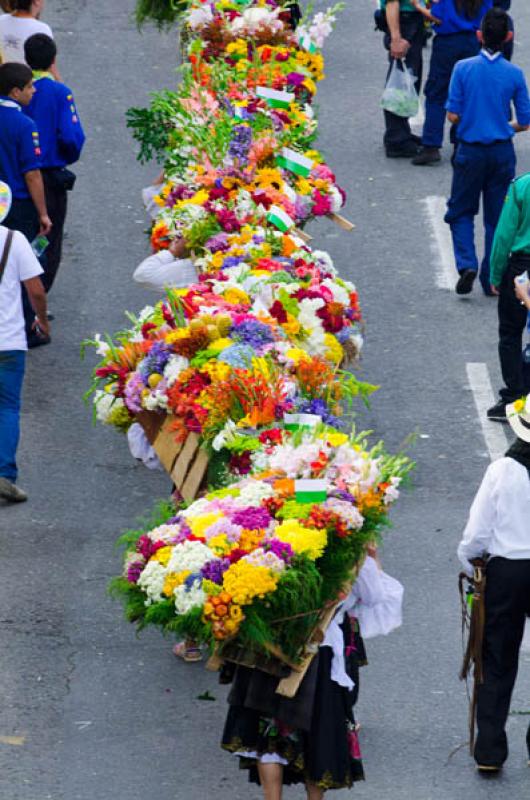 Desfile de Silleteros, Feria de las Flores, Medell...