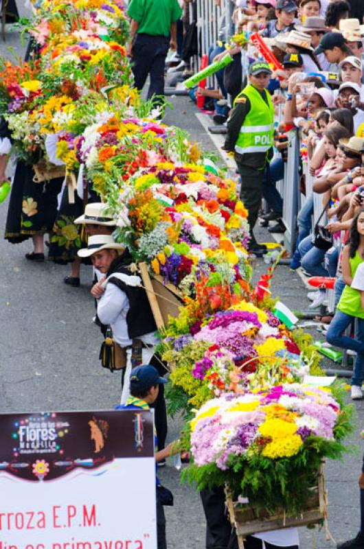 Desfile de Silleteros, Feria de las Flores, Medell...