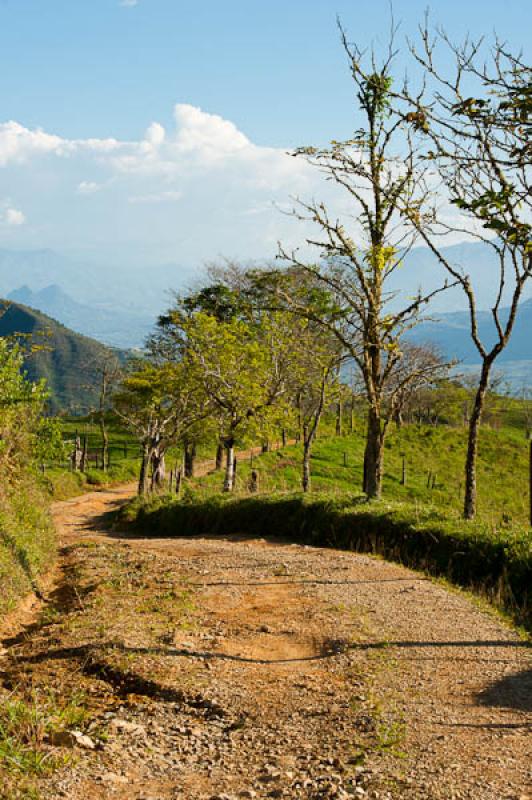 Fredonia, Suroeste AntioqueÃ±o, Antioquia, Colom...