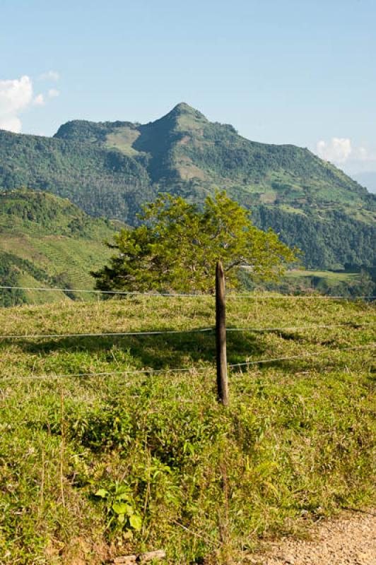 Fredonia, Suroeste AntioqueÃ±o, Antioquia, Colom...