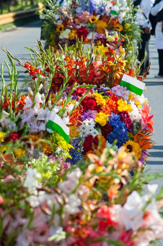 Desfile de Silleteros, Feria de las Flores, Medell...