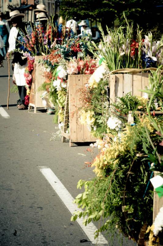 Desfile de Silleteros, Feria de las Flores, Medell...