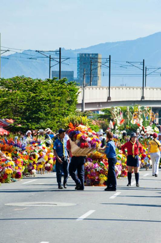 Desfile de Silleteros, Feria de las Flores, Medell...