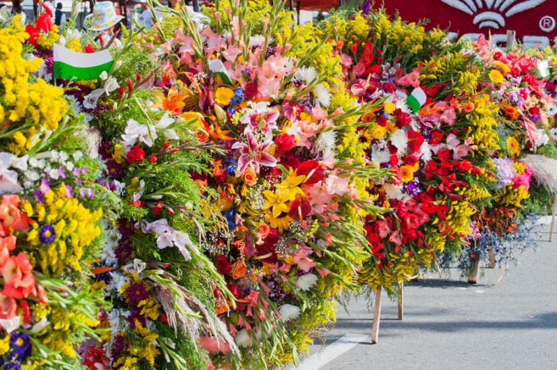 Desfile de Silleteros, Feria de las Flores, Medell...