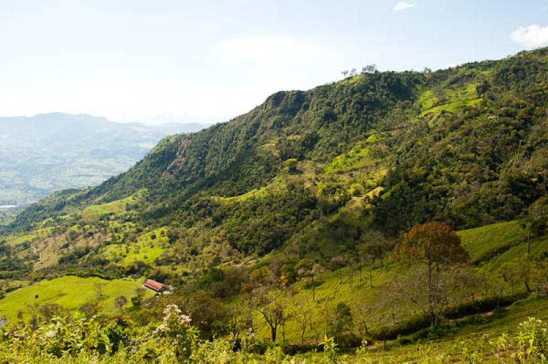 Fredonia, Suroeste AntioqueÃ±o, Antioquia, Colom...