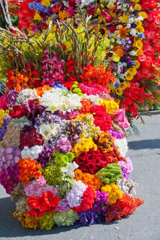 Desfile de Silleteros, Feria de las Flores, Medell...