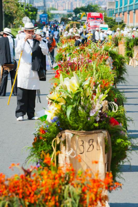 Desfile de Silleteros, Feria de las Flores, Medell...