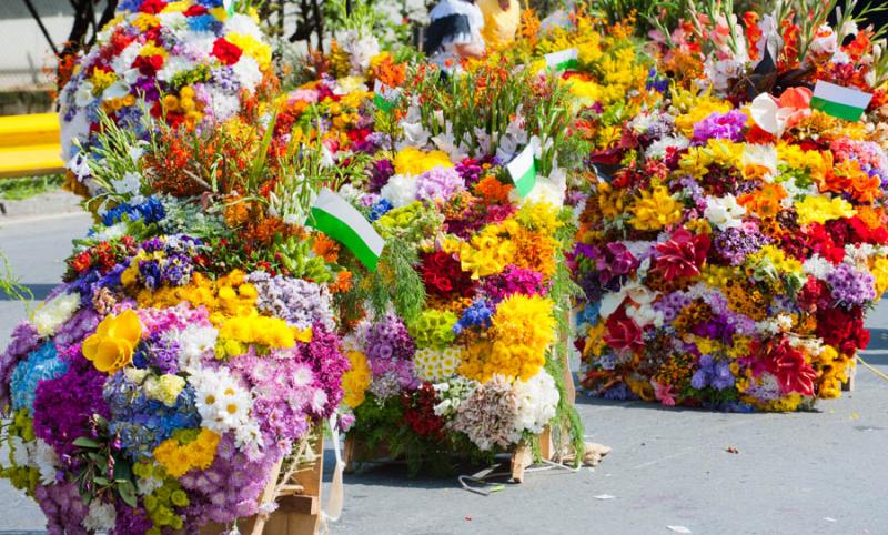 Desfile de Silleteros, Feria de las Flores, Medell...