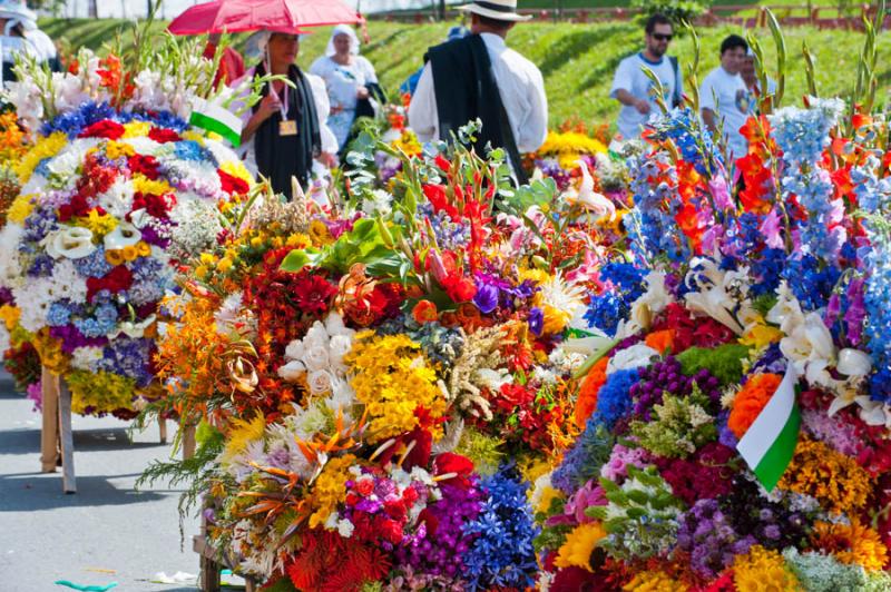 Desfile de Silleteros, Feria de las Flores, Medell...