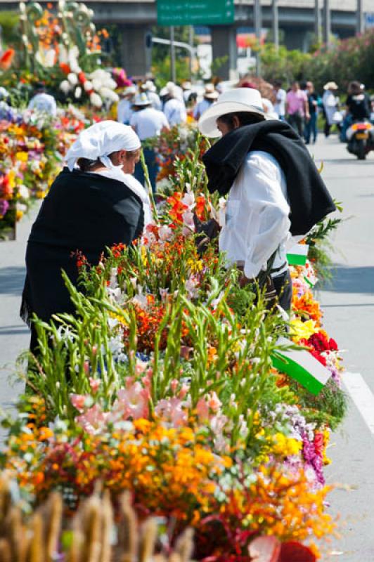 Desfile de Silleteros, Feria de las Flores, Medell...