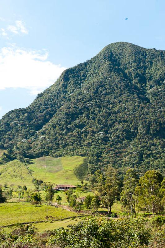 Cerro Bravo, Fredonia, Suroeste AntioqueÃ±o, Ant...