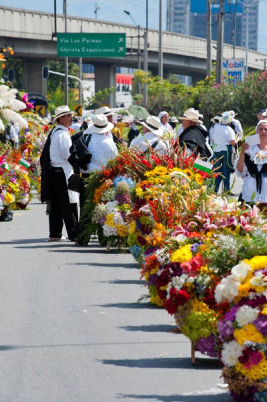 Desfile de Silleteros, Feria de las Flores, Medell...