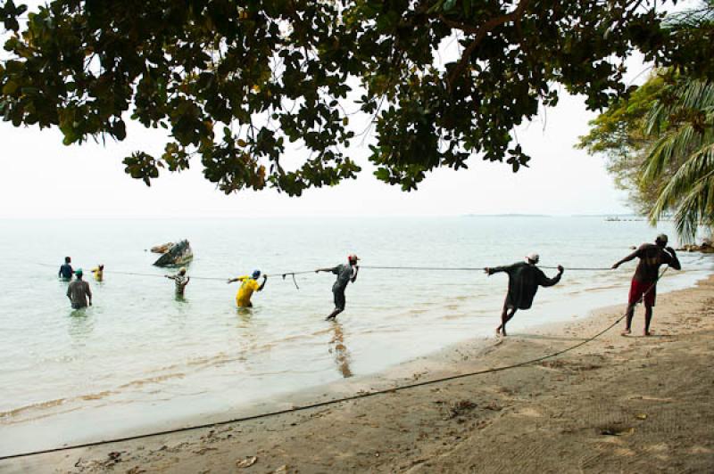 Pescadores en San Onofre, Sucre, Sincelejo, Colomb...