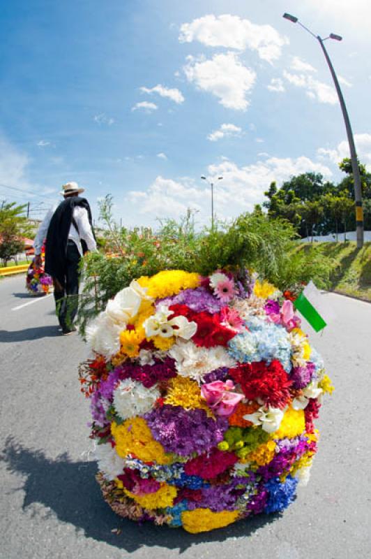 Desfile de Silleteros, Feria de las Flores, Medell...