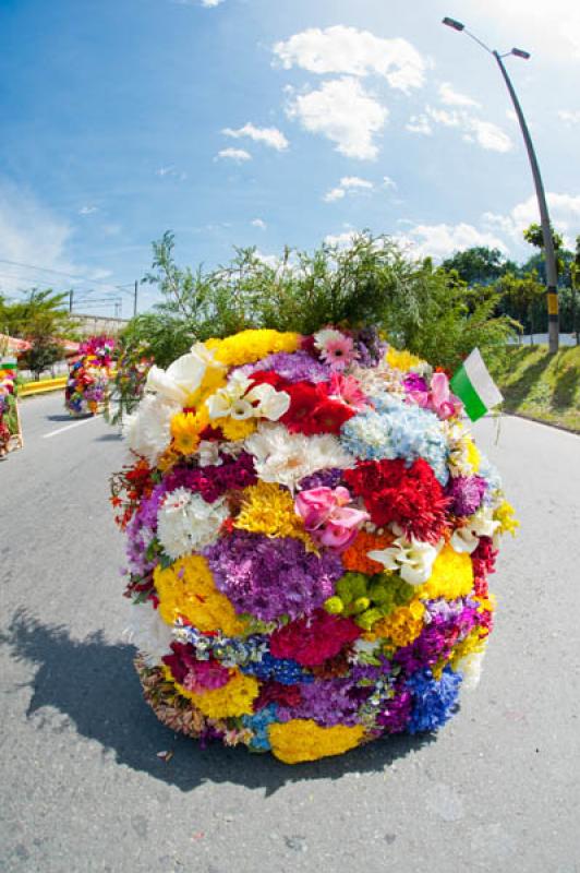 Desfile de Silleteros, Feria de las Flores, Medell...