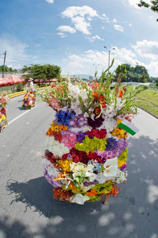 Desfile de Silleteros, Feria de las Flores, Medell...