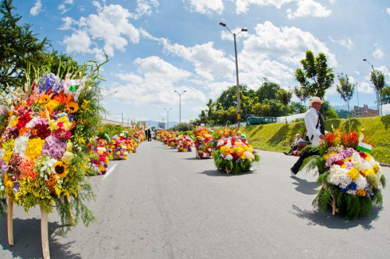 Desfile de Silleteros, Feria de las Flores, Medell...