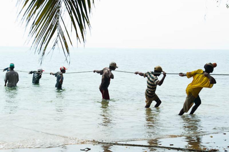 Pescadores en San Onofre, Sucre, Sincelejo, Colomb...