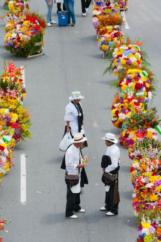 Desfile de Silleteros, Feria de las Flores, Medell...