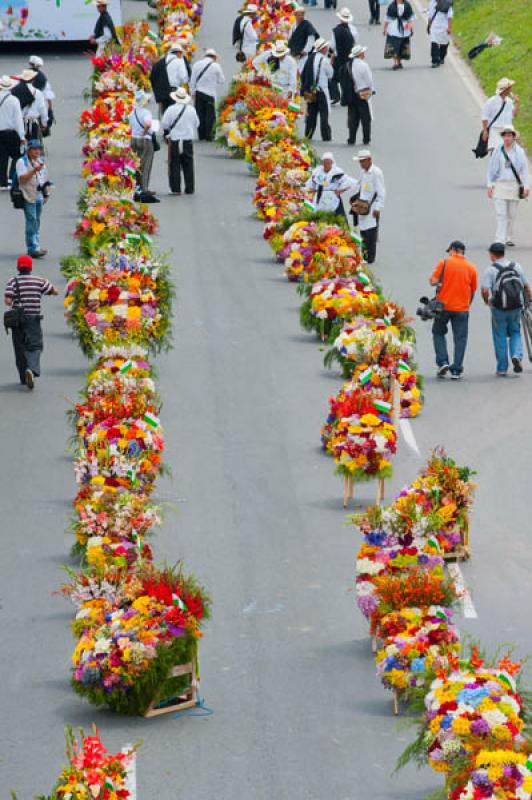 Desfile de Silleteros, Feria de las Flores, Medell...