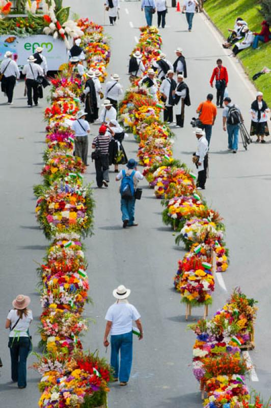 Desfile de Silleteros, Feria de las Flores, Medell...