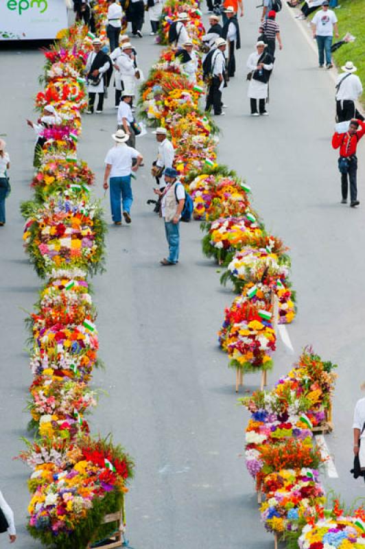 Desfile de Silleteros, Feria de las Flores, Medell...