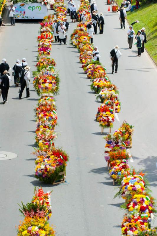 Desfile de Silleteros, Feria de las Flores, Medell...