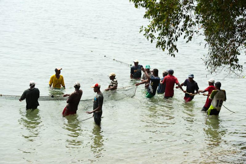 Pescadores en San Onofre, Sucre, Sincelejo, Colomb...