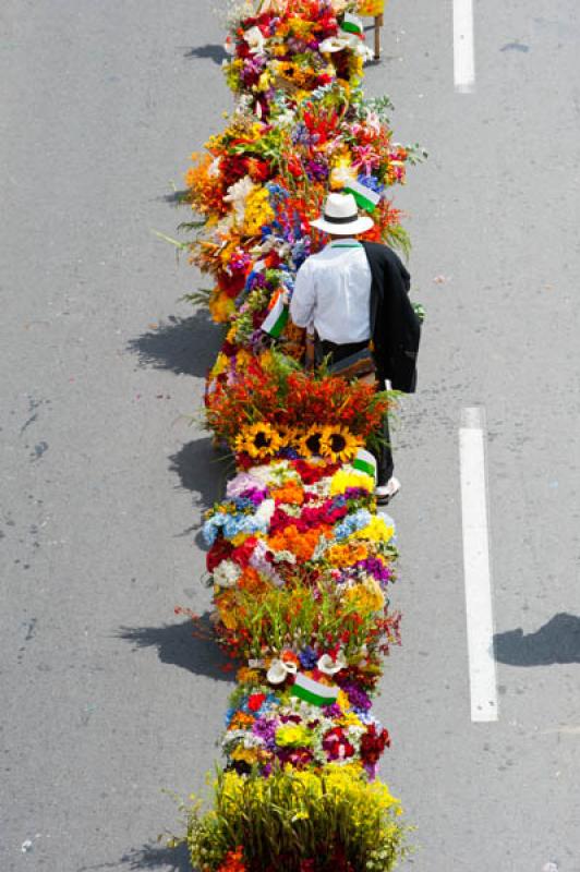 Desfile de Silleteros, Feria de las Flores, Medell...