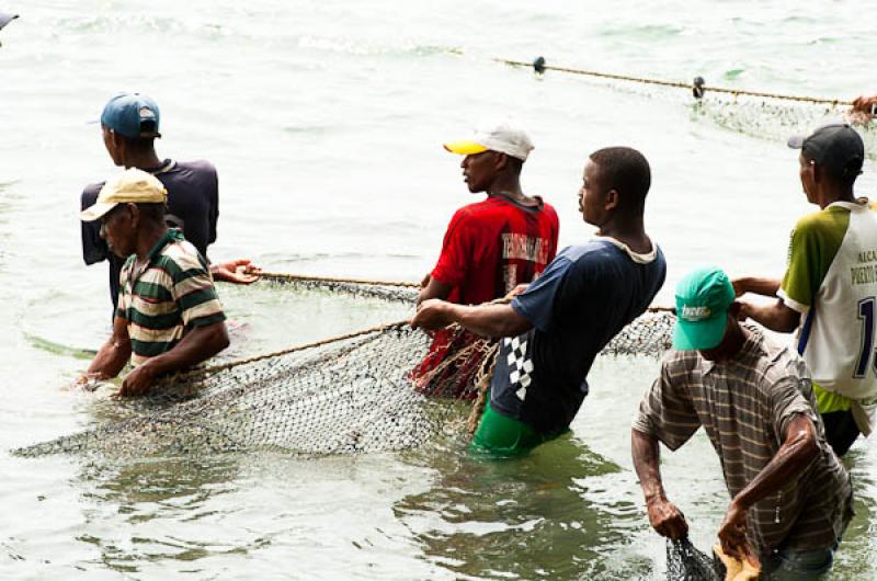 Pescadores en San Onofre, Sucre, Sincelejo, Colomb...