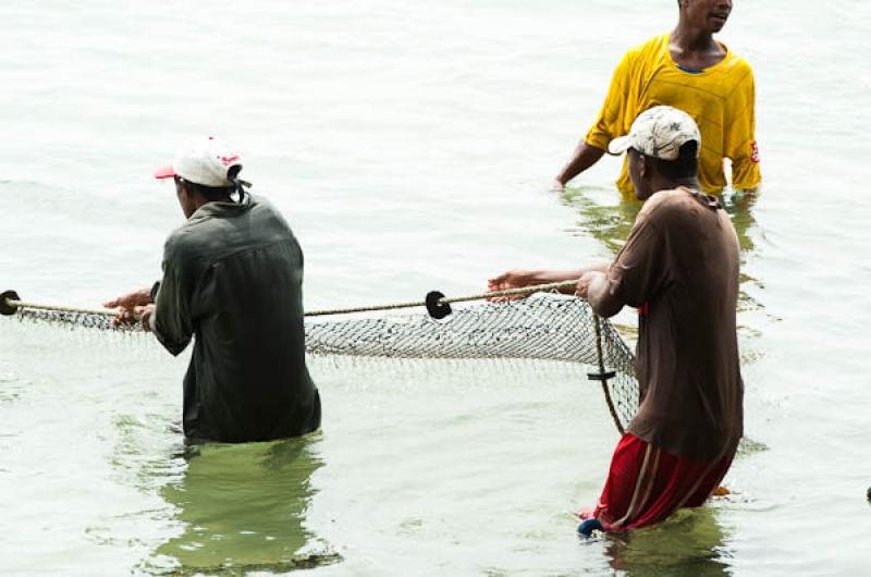 Pescadores en San Onofre, Sucre, Sincelejo, Colomb...