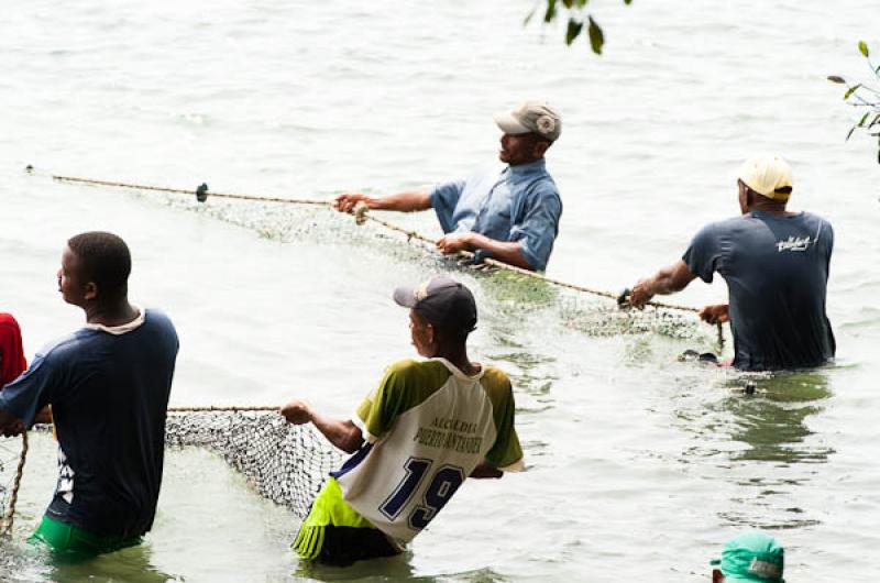 Pescadores en San Onofre, Sucre, Sincelejo, Colomb...