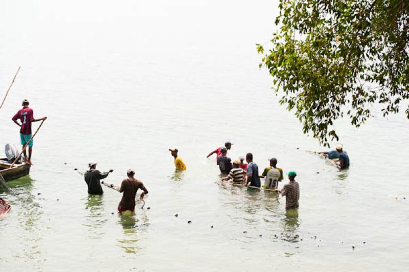 Pescadores en San Onofre, Sucre, Sincelejo, Colomb...