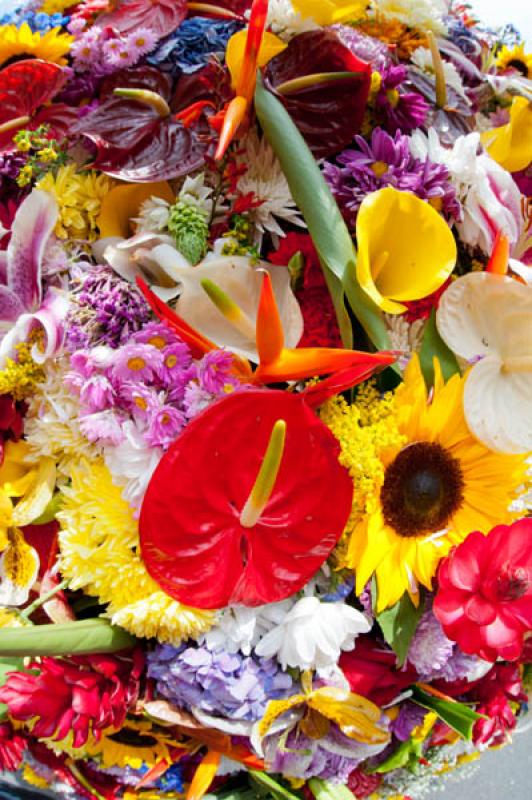 Desfile de Silleteros, Feria de las Flores, Medell...