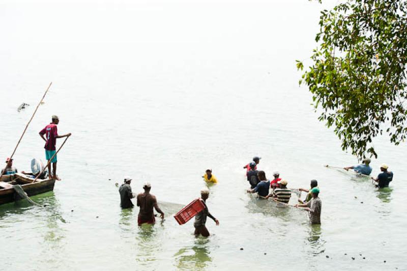 Pescadores en San Onofre, Sucre, Sincelejo, Colomb...