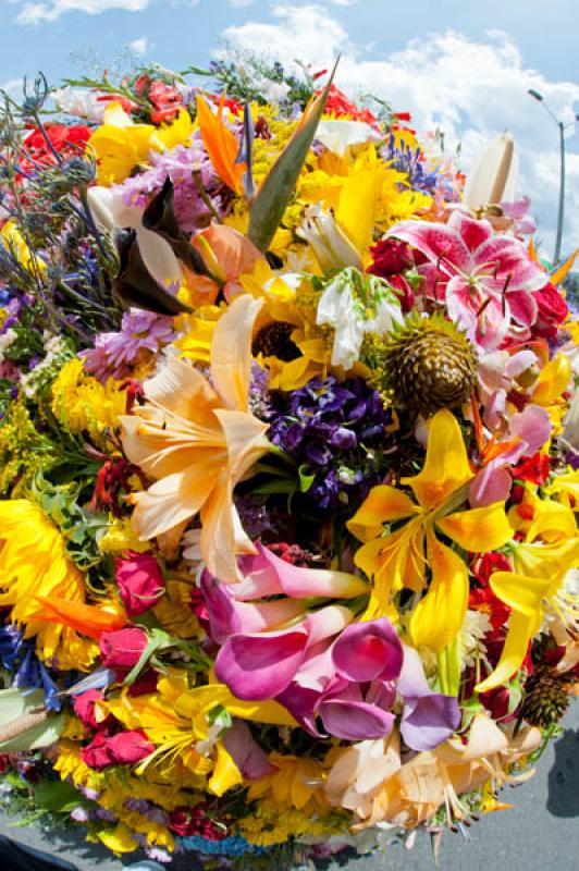 Desfile de Silleteros, Feria de las Flores, Medell...