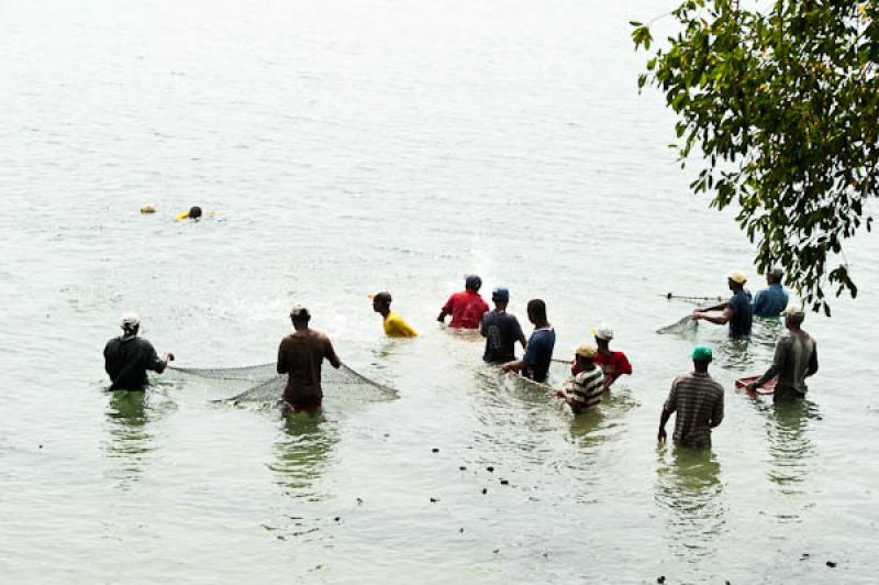 Pescadores en San Onofre, Sucre, Sincelejo, Colomb...