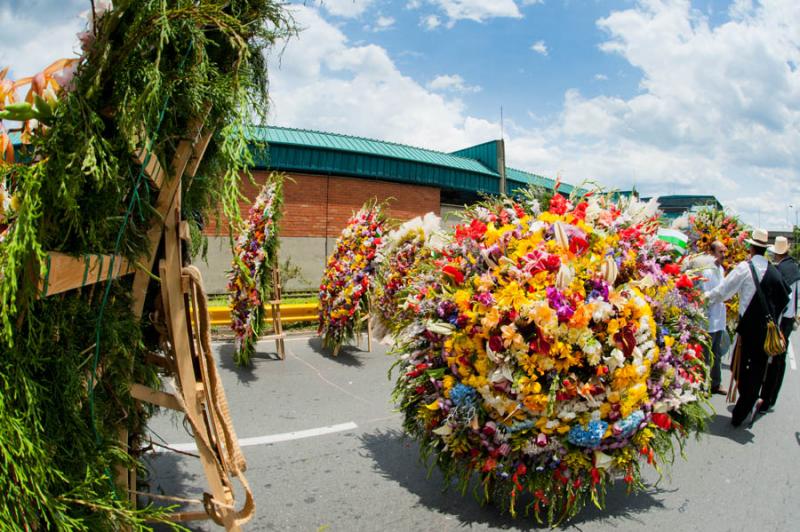 Desfile de Silleteros, Feria de las Flores, Medell...