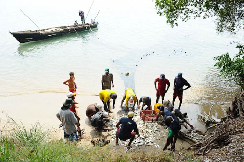 Pescadores en San Onofre, Sucre, Sincelejo, Colomb...