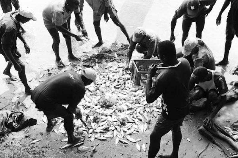 Pescadores en San Onofre, Sucre, Sincelejo, Colomb...