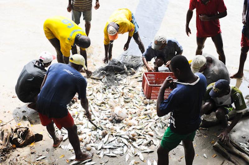 Pescadores en San Onofre, Sucre, Sincelejo, Colomb...