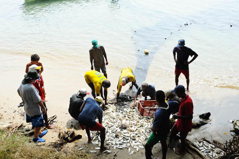 Pescadores en San Onofre, Sucre, Sincelejo, Colomb...