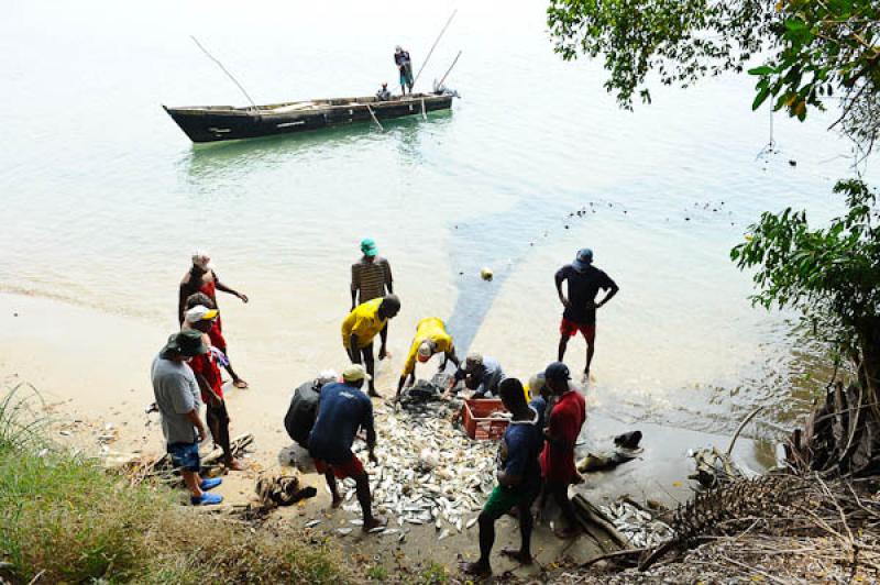 Pescadores en San Onofre, Sucre, Sincelejo, Colomb...