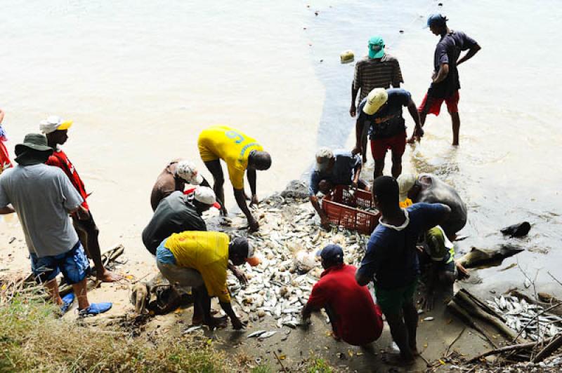 Pescadores en San Onofre, Sucre, Sincelejo, Colomb...