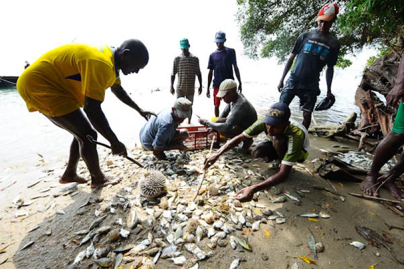 Pescadores en San Onofre, Sucre, Sincelejo, Colomb...