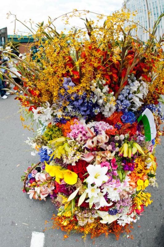 Desfile de Silleteros, Feria de las Flores, Medell...